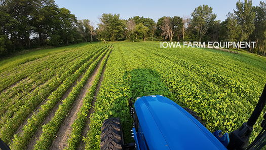 Inter Row Tillage Equipment