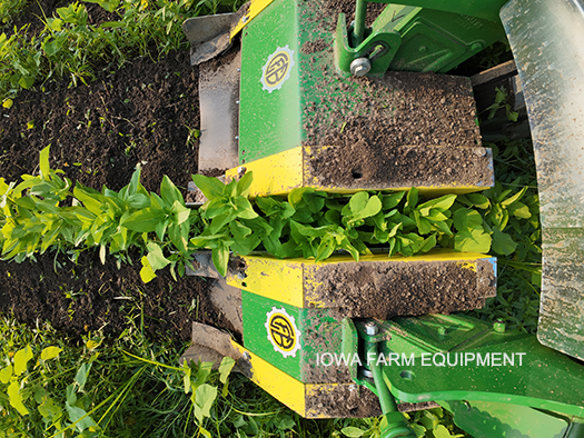 Inter Row Cultivating